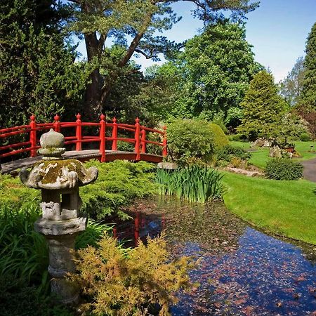 The Curragh Country House Accommodation Newbridge  Εξωτερικό φωτογραφία