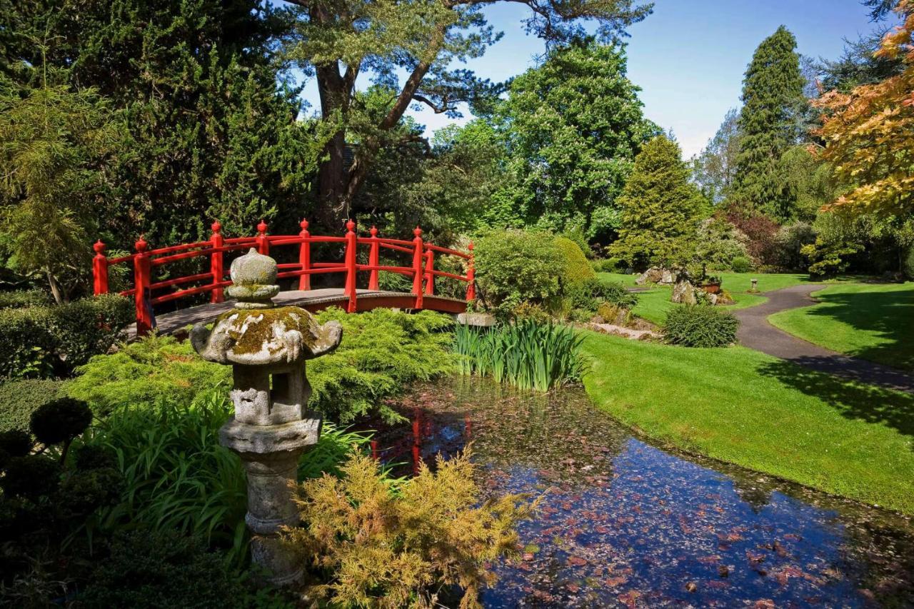 The Curragh Country House Accommodation Newbridge  Εξωτερικό φωτογραφία