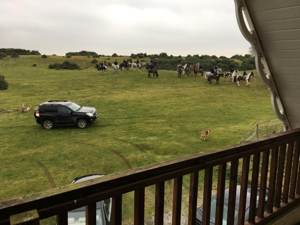 The Curragh Country House Accommodation Newbridge  Εξωτερικό φωτογραφία